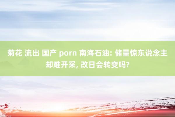 菊花 流出 国产 porn 南海石油: 储量惊东说念主却难开采， 改日会转变吗?