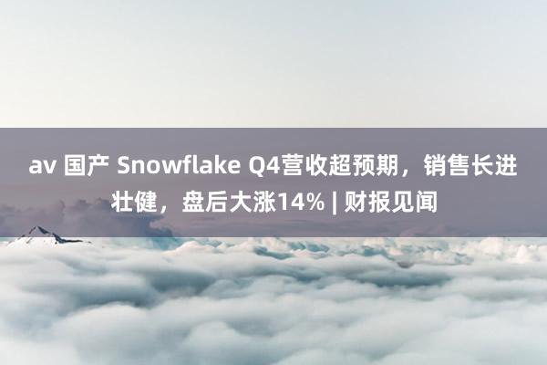 av 国产 Snowflake Q4营收超预期，销售长进壮健，盘后大涨14% | 财报见闻