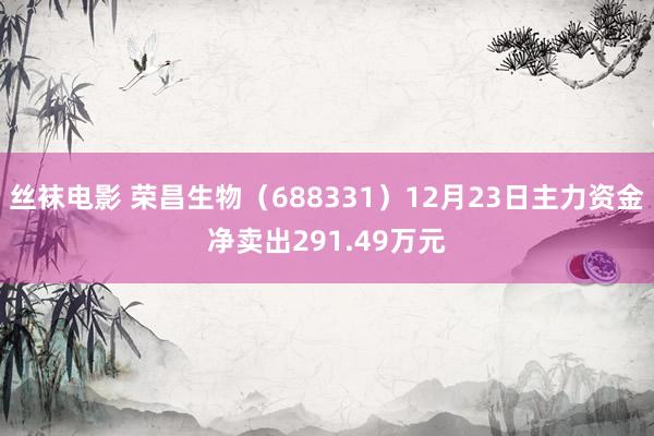 丝袜电影 荣昌生物（688331）12月23日主力资金净卖出291.49万元