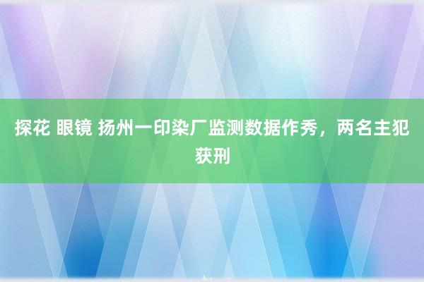 探花 眼镜 扬州一印染厂监测数据作秀，两名主犯获刑