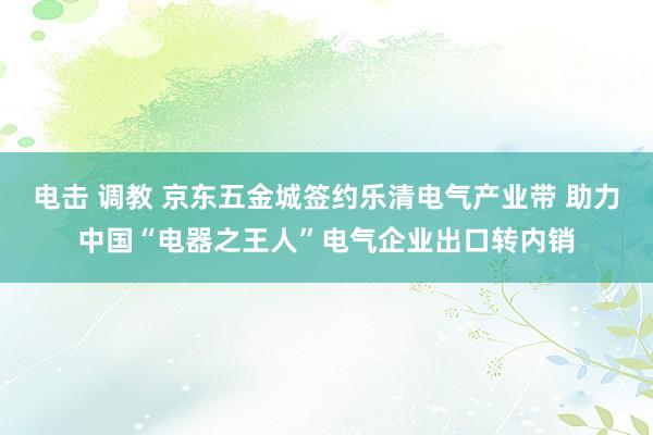 电击 调教 京东五金城签约乐清电气产业带 助力中国“电器之王人”电气企业出口转内销
