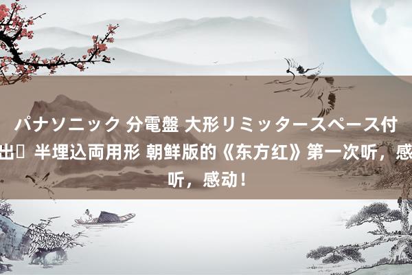 パナソニック 分電盤 大形リミッタースペース付 露出・半埋込両用形 朝鲜版的《东方红》第一次听，感动！