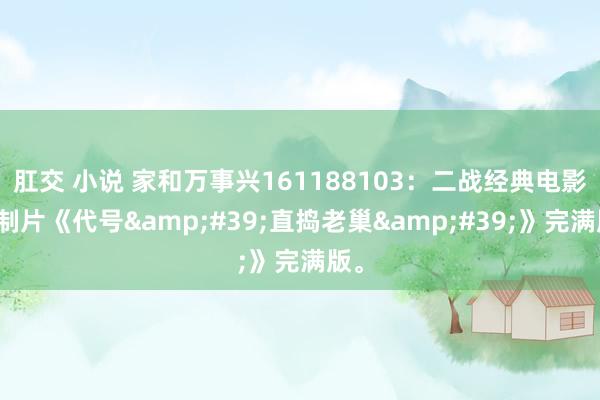 肛交 小说 家和万事兴161188103：二战经典电影译制片《代号&#39;直捣老巢&#39;》完满版。